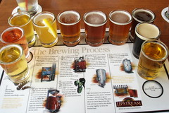 The Beers of Upstream