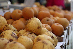 Asian Apple Pears